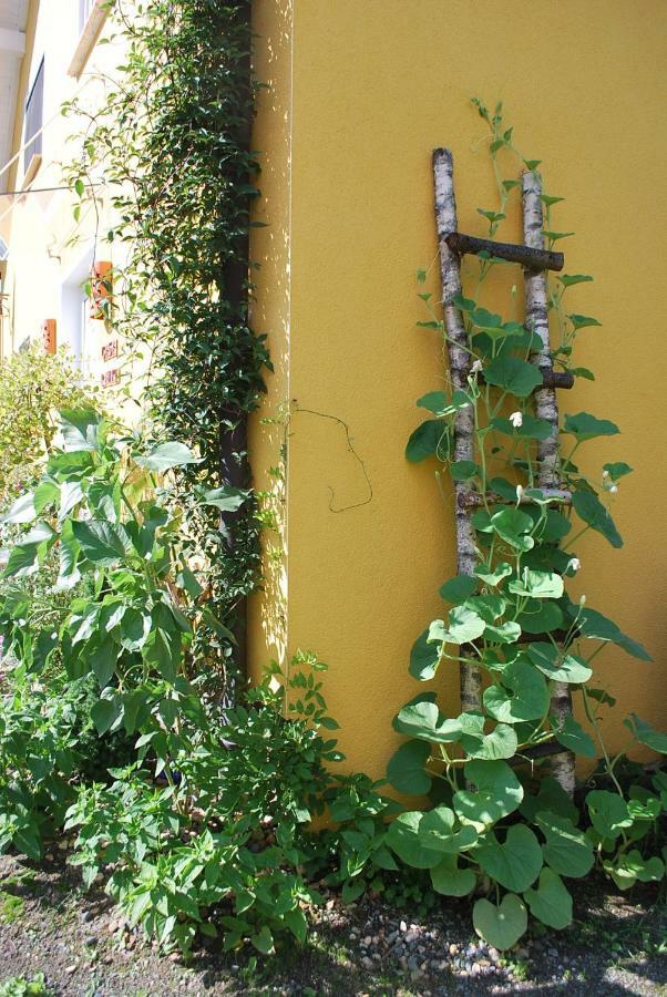 Appartamento Casa Ramke Eitorf Esterno foto